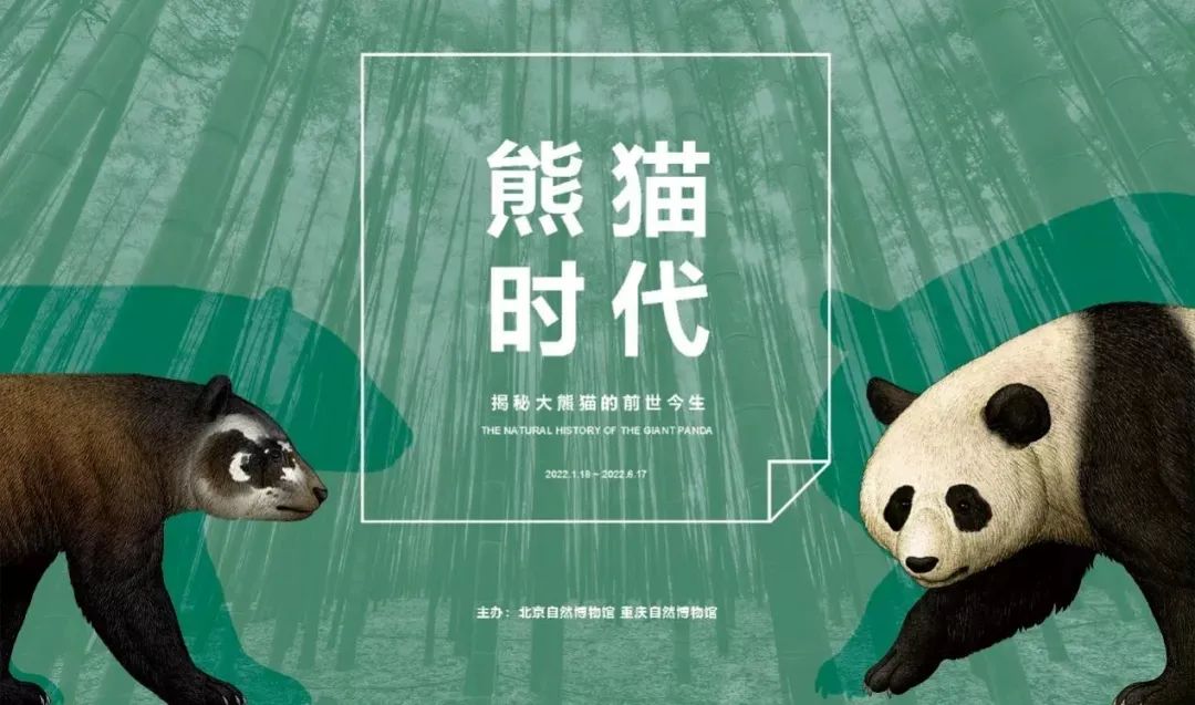 3月北京展訊丨最是一年春好處,，最高人氣藝術(shù)大展等你去打卡...(圖10)